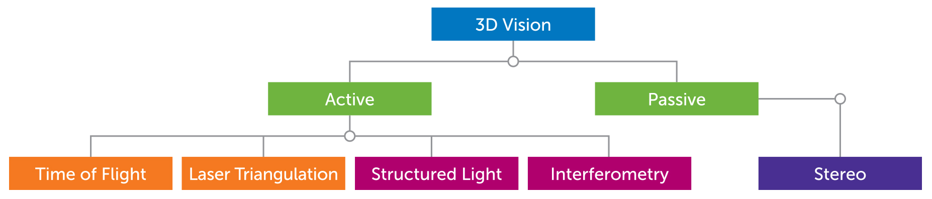 3D Vision Chart Vertical